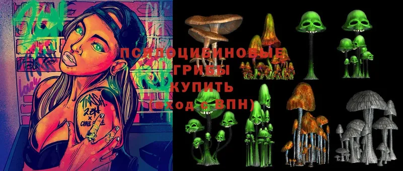 Псилоцибиновые грибы Cubensis  Ленск 